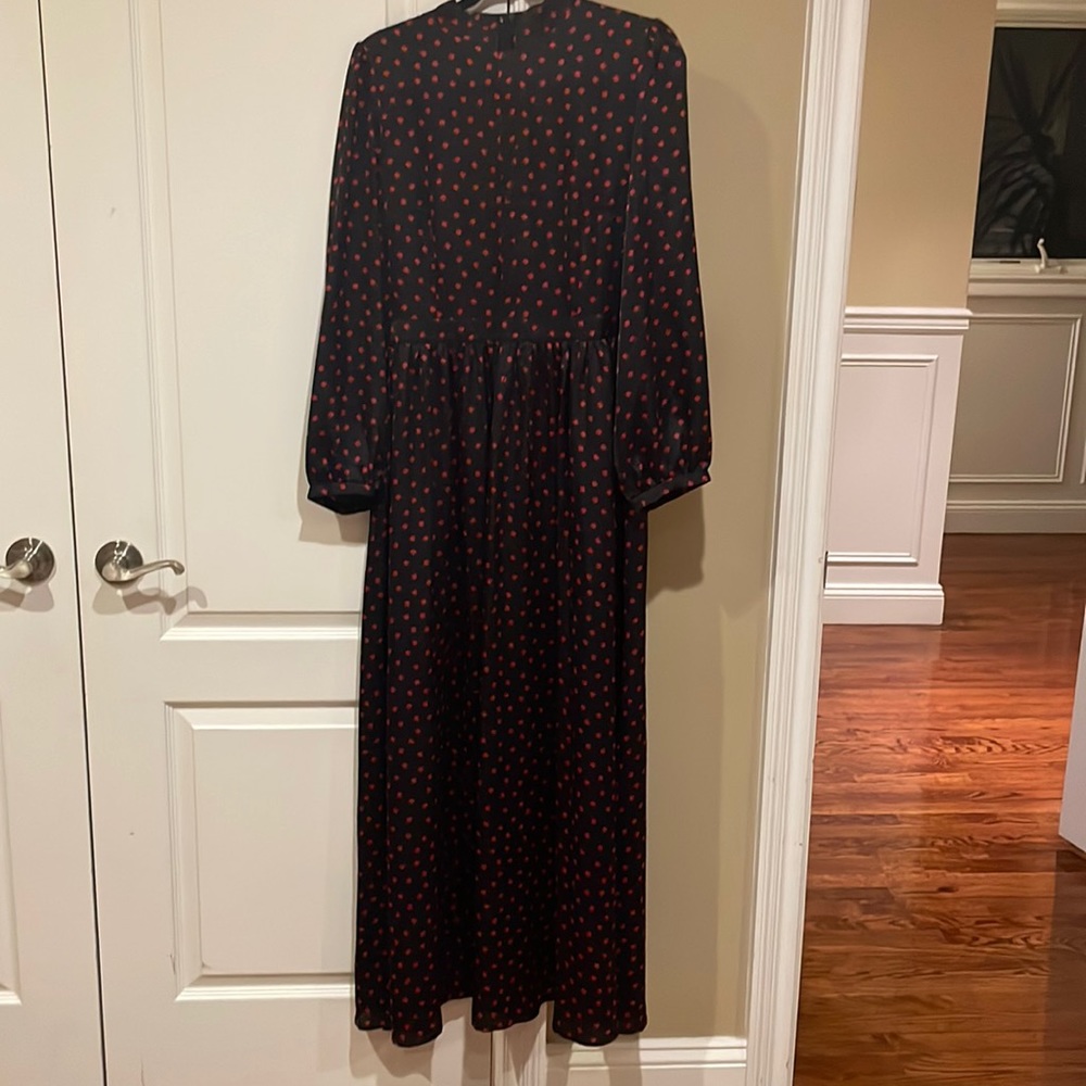 Zara maxi dress